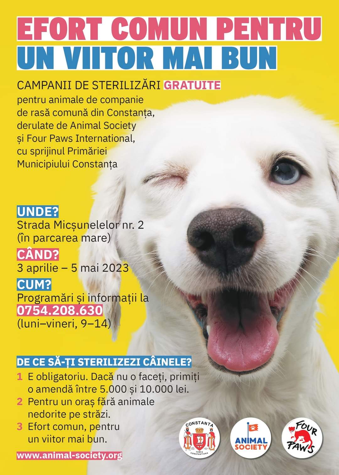 CONSTANŢA: O nouă campanie de sterilizări gratuite pentru câini şi pisici începe luni, 3 aprilie
