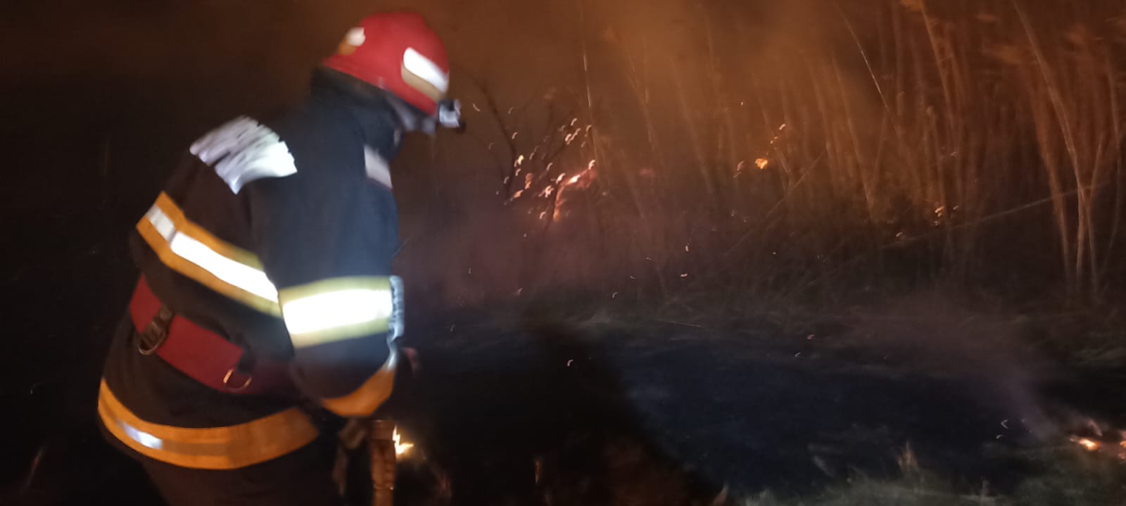 Judeţul TULCEA: O suprafaţă de 15 hectare de teren a ars în urma unui incendiu de vegetaţie uscată
