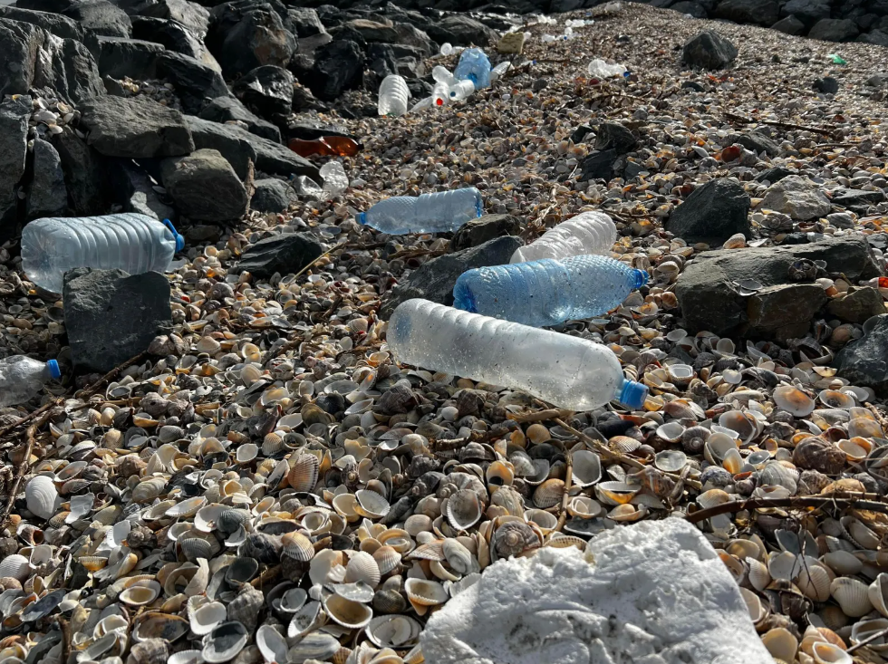 Marea Neagră este cea mai poluată mare a Europei. Constanța, cel mai murdar sector de plajă