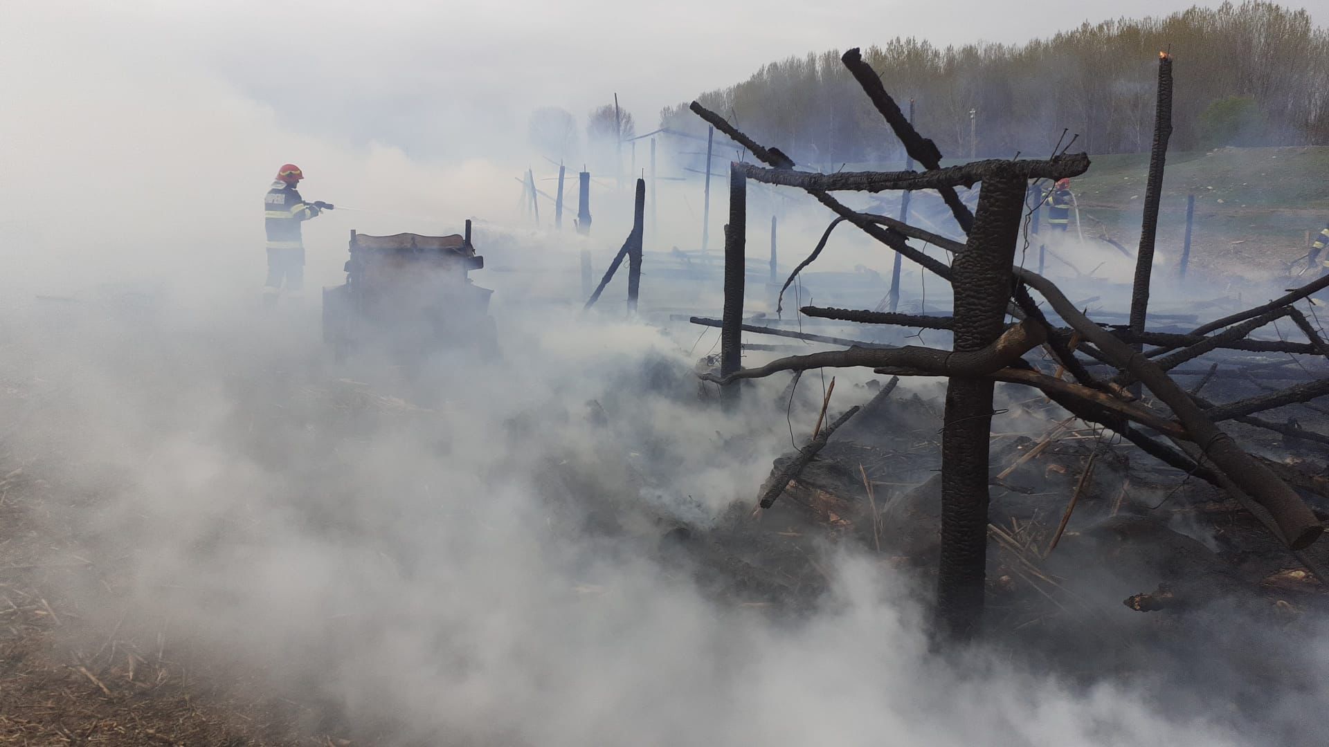 TULCEA: Incendiu PUTERNIC la o stână de oi, în apropiere de Măcin