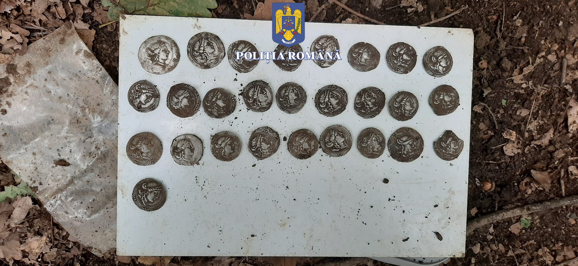 IGPR: Sute de infracțiuni în materia patrimoniului cultural, constatate de polițiști anul trecut