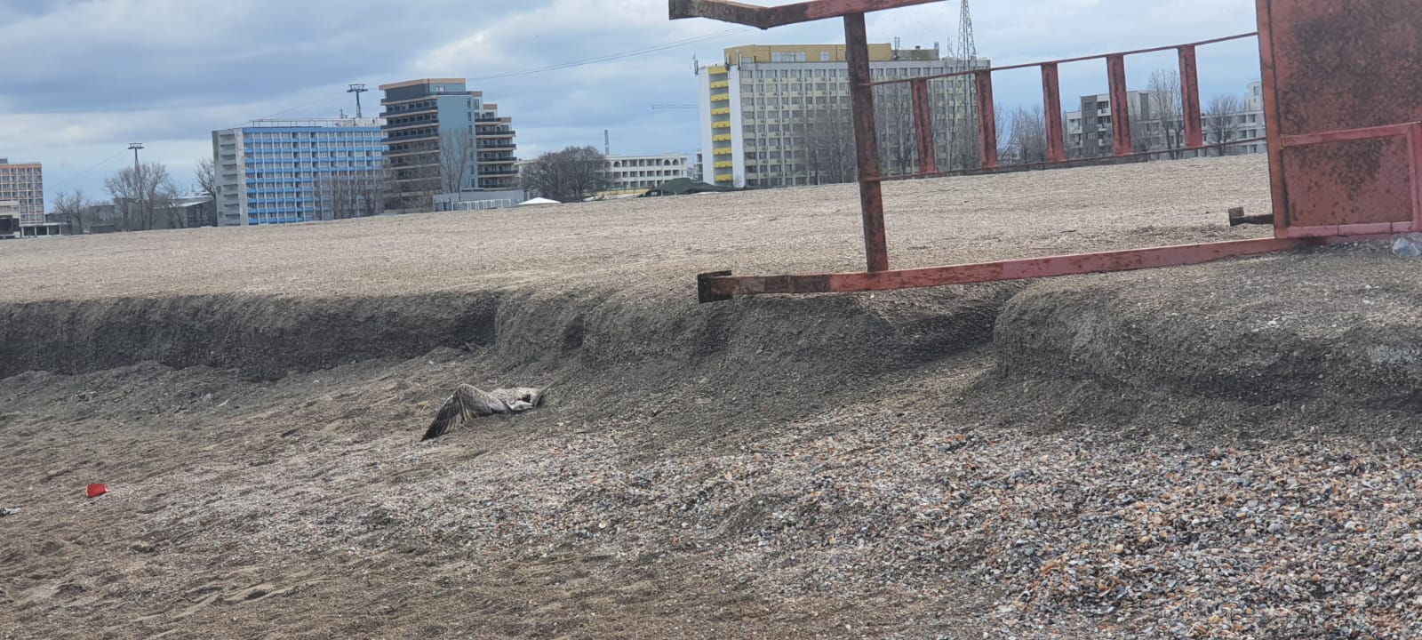 FOTO/VIDEO REPORTAJ: A început pregătirea plajelor pentru minivacanța de 1 Mai – susține ABADL. Imaginile din Mamaia o contrazic