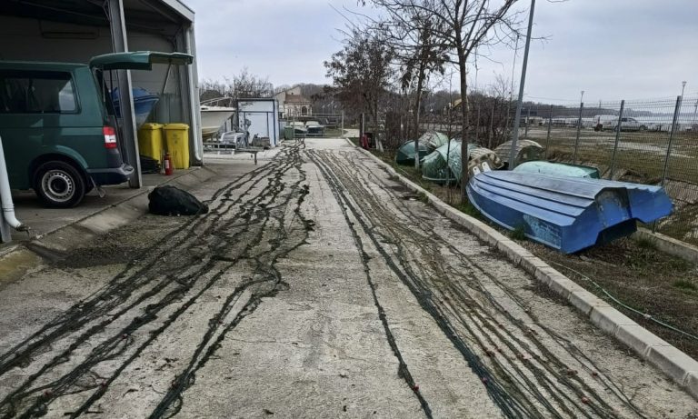 Județul TULCEA: 88 de kilograme de pește braconat și un motor de barcă furat au fost descoperite de Poliţiştii de frontieră