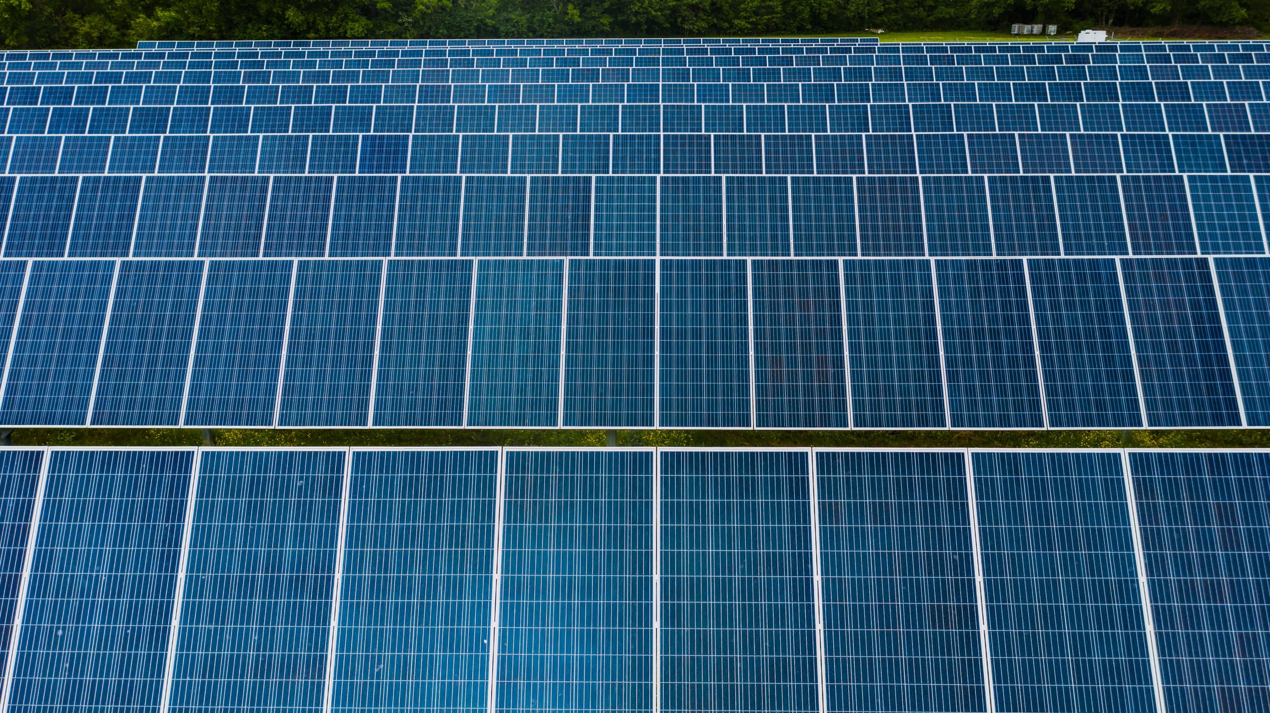 “România se poate baza în continuare pe energie verde în proporție foarte mare din Dobrogea”, spune Sebastian Enache, managerul unei companii din domeniul energiei regenerabile