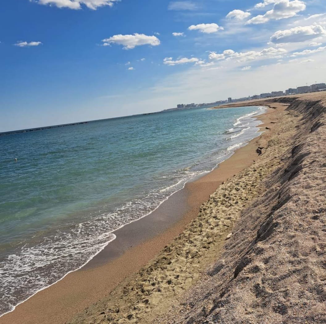 Plajele închiriate vor fi predate până la jumătatea lui aprilie