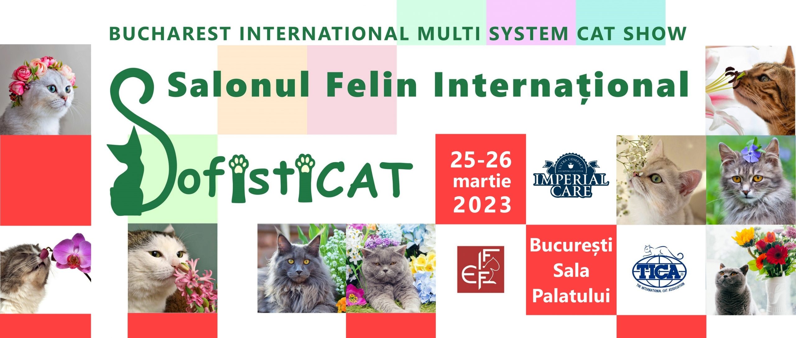 Salonul Felin Internațional București revine la Sala Palatului cu ediția specială “Flori și pisici”.