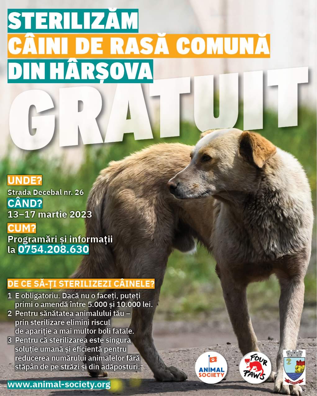 HÂRȘOVA: Campanie de sterilizări gratuite a câinilor de rasă comună. Caravana va ajunge și în orașul Constanța