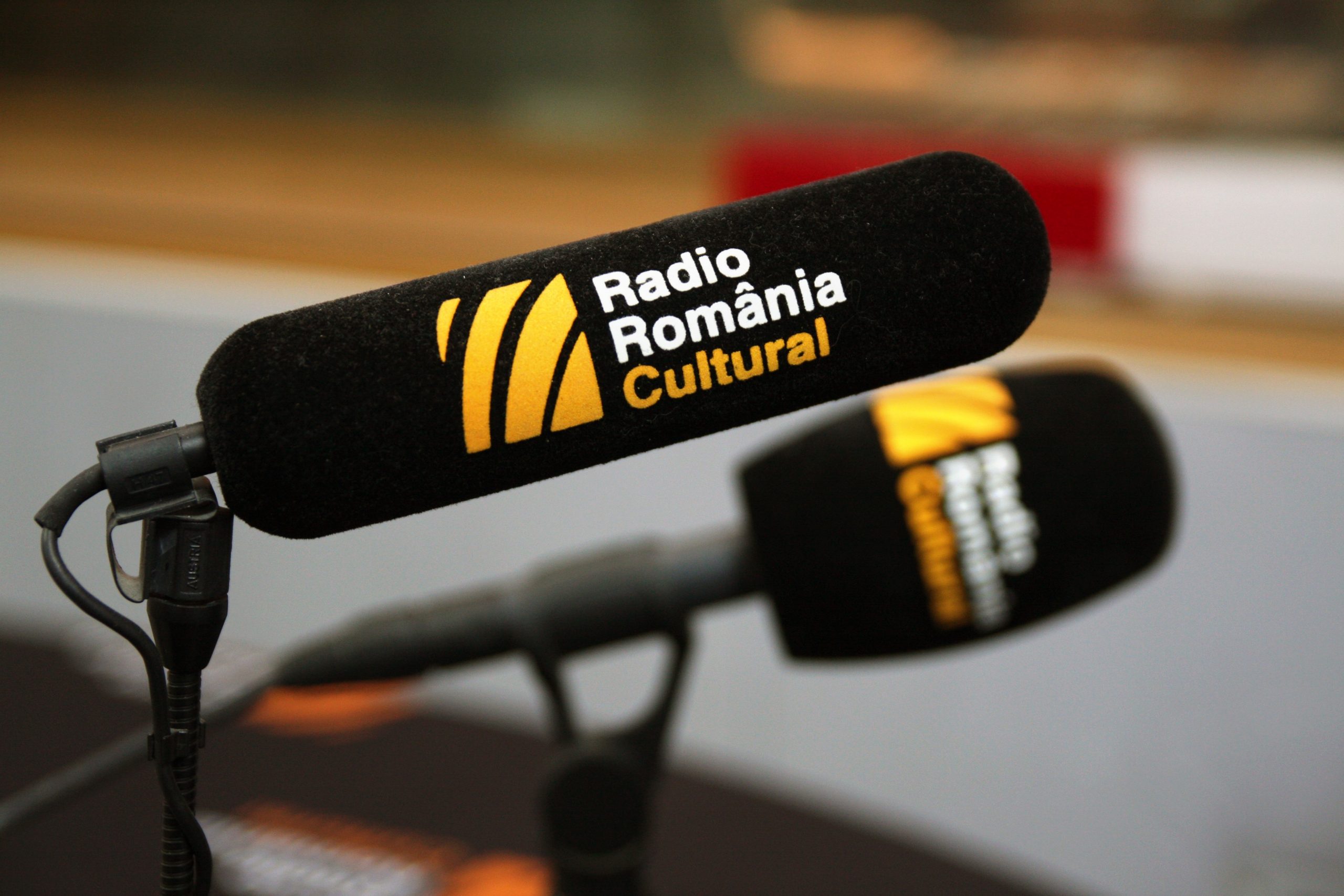 Trei ediții speciale ale emisiunii GPS Cultural, la Radio România Cultural