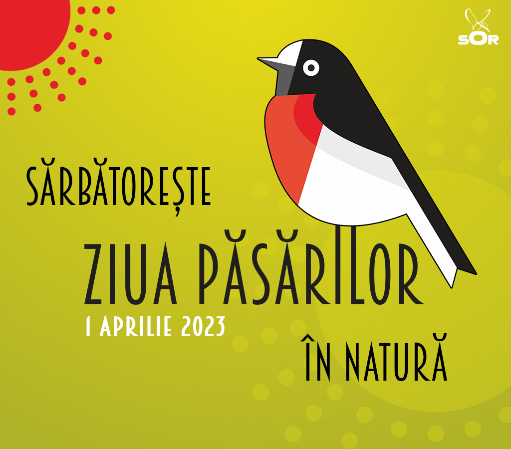 INTERVIU | Stațiunea Biologică Marină de la Agigea vă așteaptă să sărbătoriți ZIUA PĂSĂRILOR