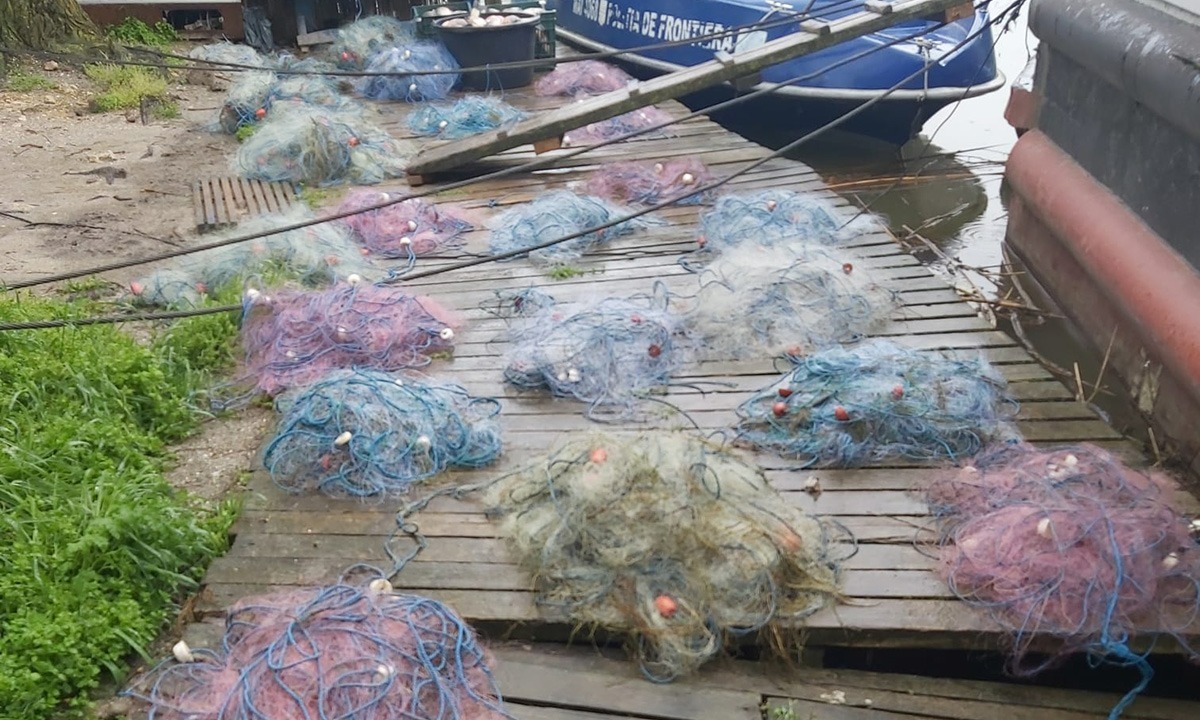 TULCEA: Braconaj în Deltă. 1750 metri de plase mono-filament cu 243 de kilograme de pește