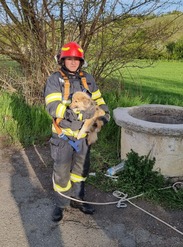 Pompierii din Măcin au salvat un cățel dintr-o fântână adâncă