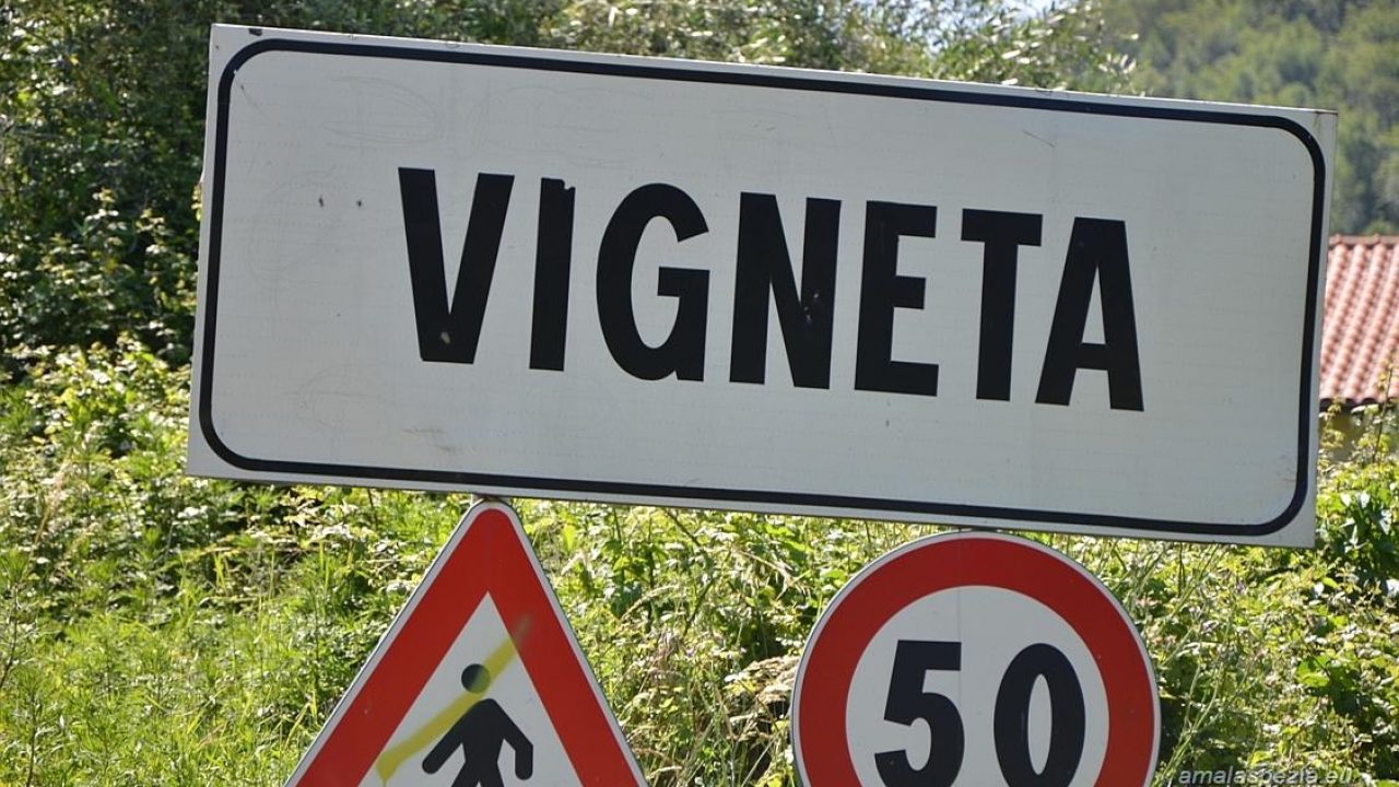 Atenție, șoferi! Nu uitați să vă cumpărați vigneta, dacă plecați în Bulgaria
