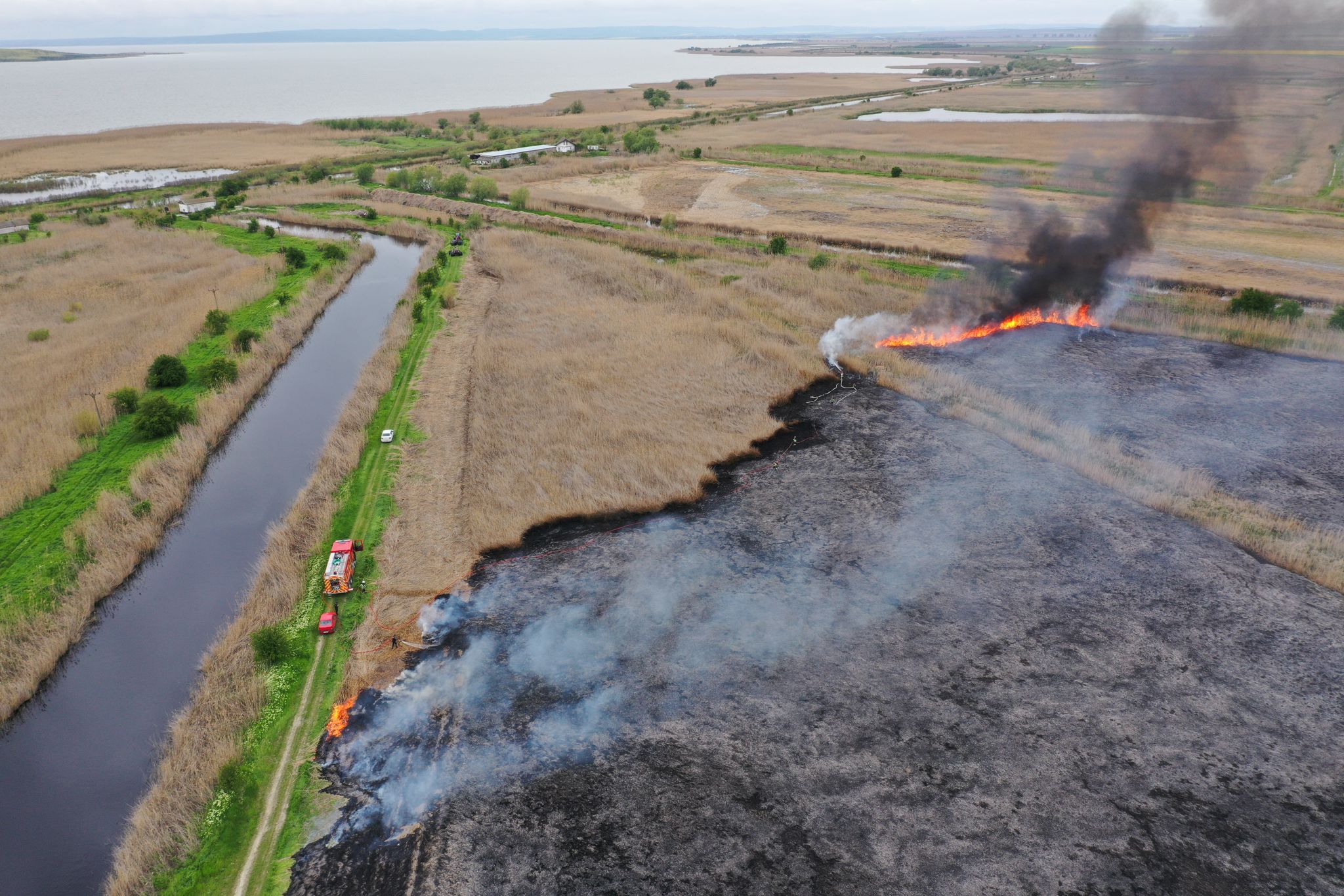 Județul TULCEA/VIDEO: Incendiu de amploare lângă o fermă stuficolă