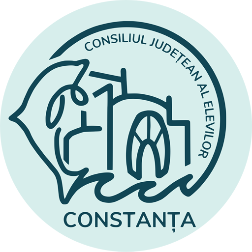 Consiliul Județean al Elevilor Constanța, reacție după ce un copil de clasa întâi a dus la școală o armă cu lunetă