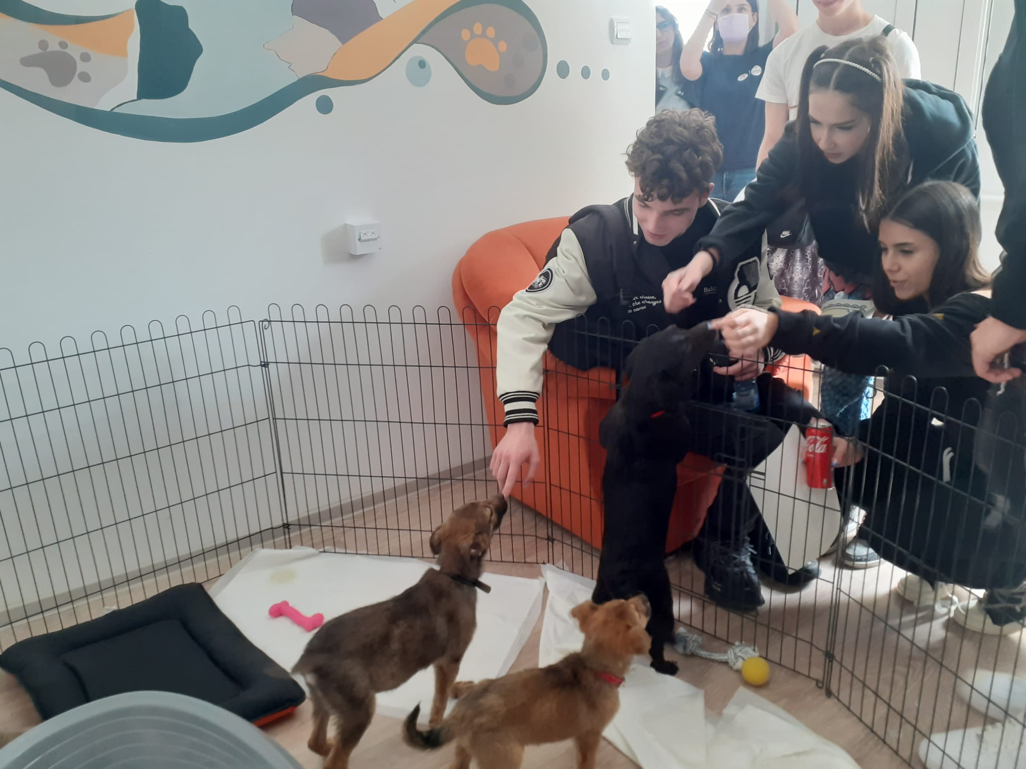 CONSTANŢA: Un centru de adopții canine a fost deschis astăzi, în centrul orașului, pe strada Răscoala din 1907