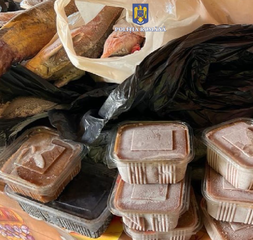 TULCEA: Percheziții la braconieri – 30 de kilograme de sturion, icre negre și scule de pescuit descoperite de polițiști