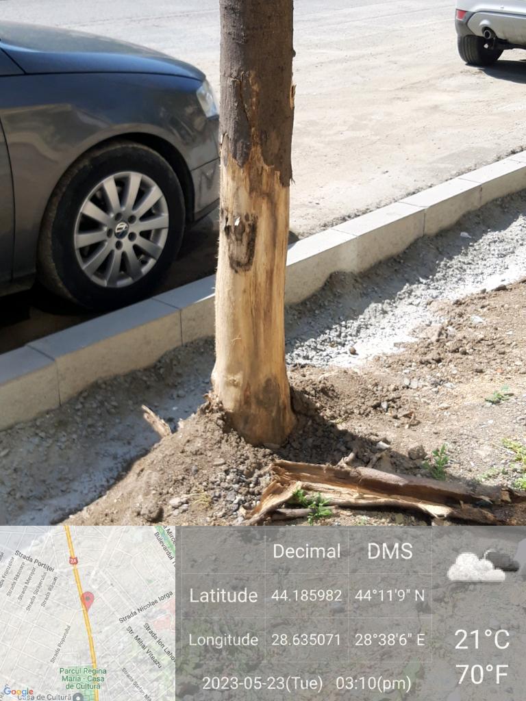 Firma care face lucrări pe B-dul Lăpușneanu, amendată de Garda de Mediu
