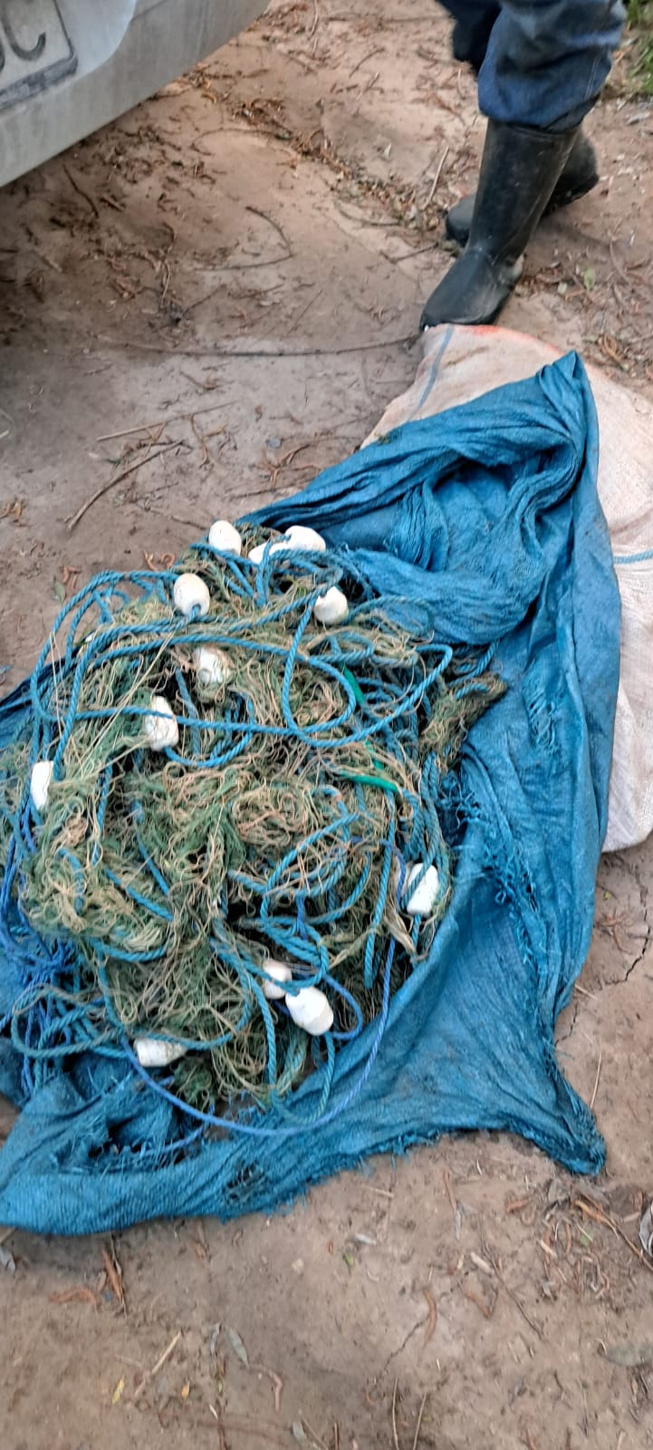 Poliția Deltei Dunării a confiscat peste 2 tone de pește și 4 kilograme de raci, în doar trei zile