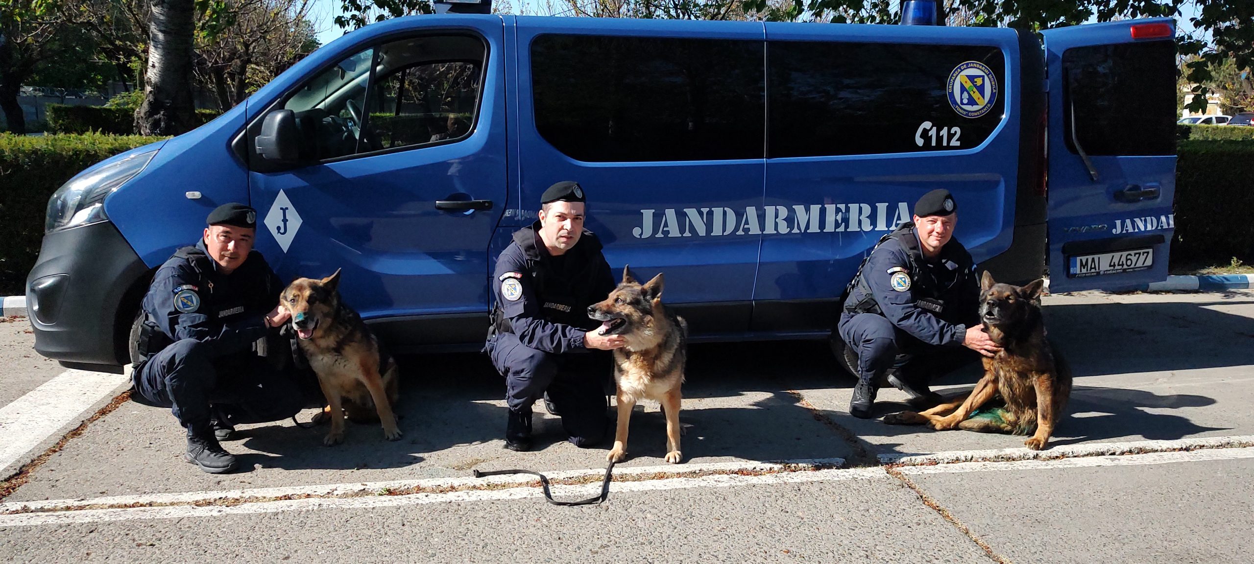Trei colegi patrupezi ai jandarmilor constănțeni se pensionează!