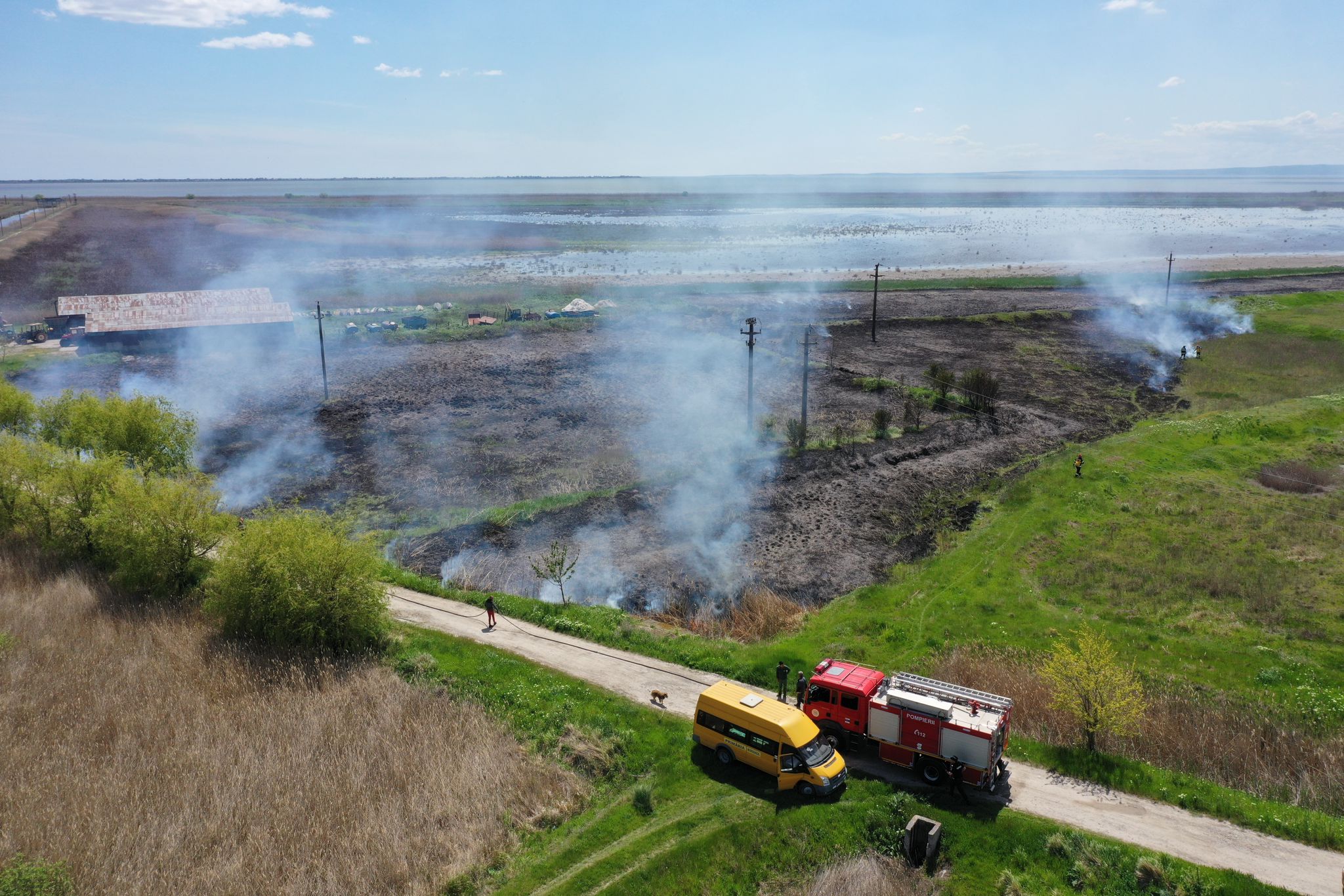 TULCEA: Un incendiu puternic a cuprins vegetaţia de stuf din incinta unei ferme piscicole – FOTO/VIDEO