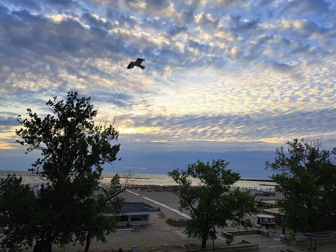 28 de grade – maxima zilei în Dobrogea