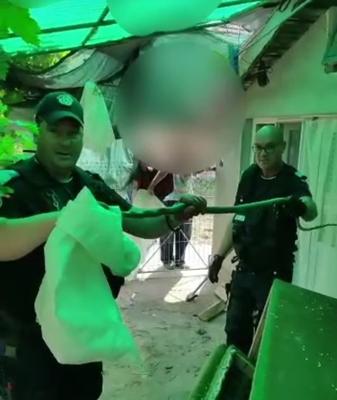 VIDEO: Șarpe scos din canapeaua unei familii de către jandarmii tulceni