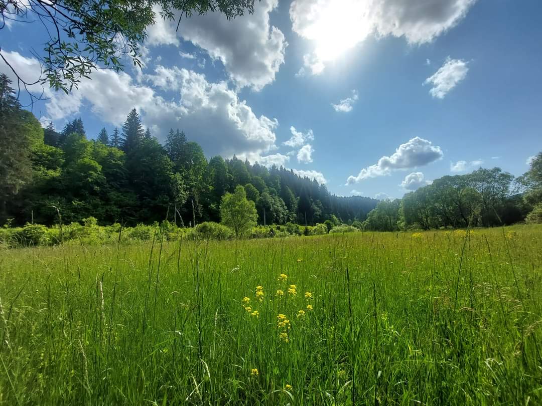 Litoralul, Delta Dunării, stațiunile montane și balneo – toate se așteaptă la un sezon turistic foarte bun