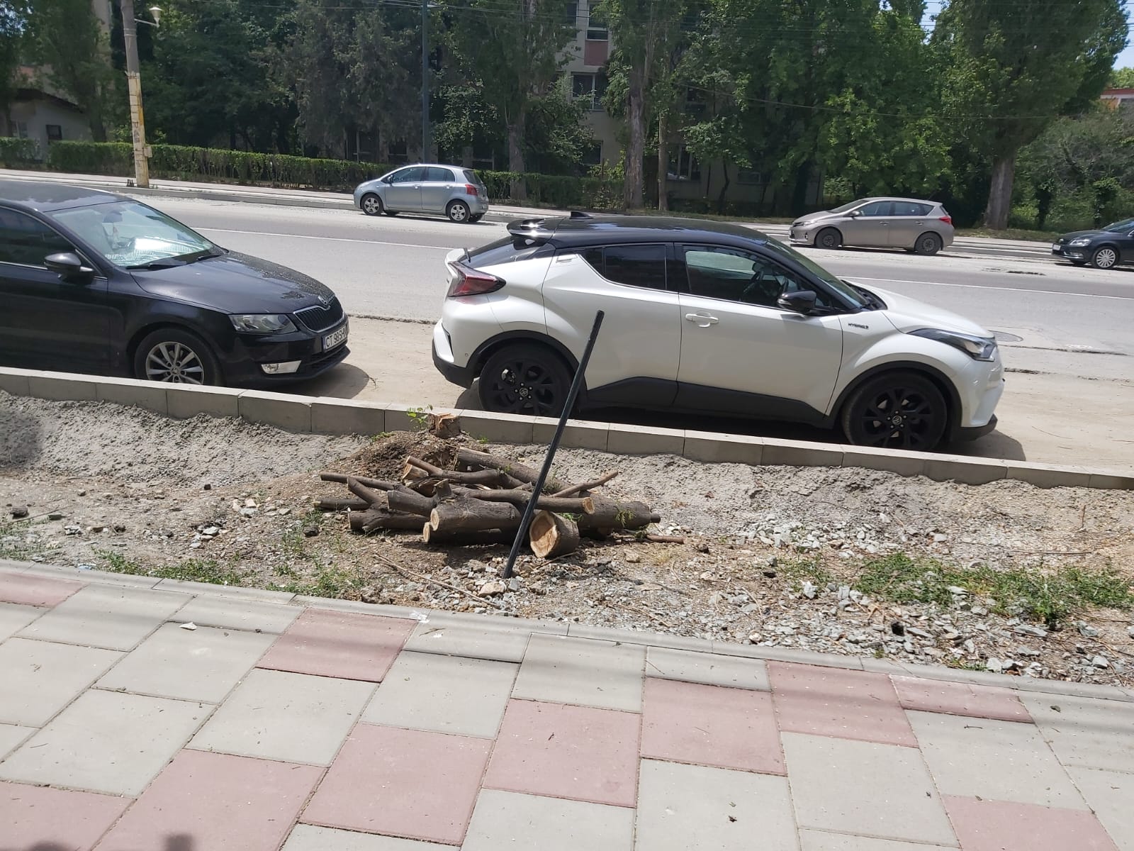Din cele 24 de șantiere din Constanța și Mamaia Nord controlate luna trecută, majoritatea au fost amendate pentru încălcarea legislației de mediu