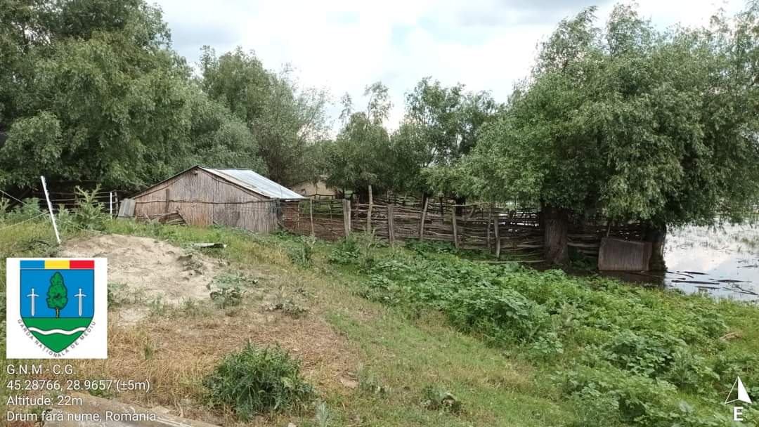 TULCEA: Amenzi de zeci de mii de lei pentru creşterea necontrolată şi fără autorizaţie a bovinelor și ovinelor în Delta Dunării
