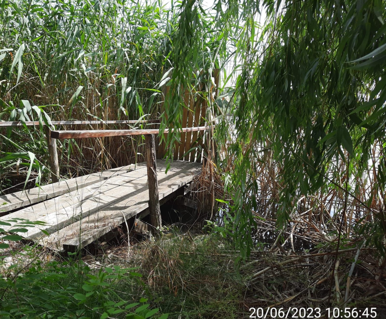 Pontoane construite ilegal, depistate de poliţişti pe malul Canalului Dunăre – Marea Neagră în zona Cernavodă