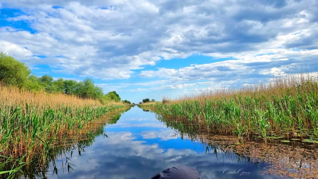 LITORALUL și DELTA – pline de turiști în minivacanța de Rusalii