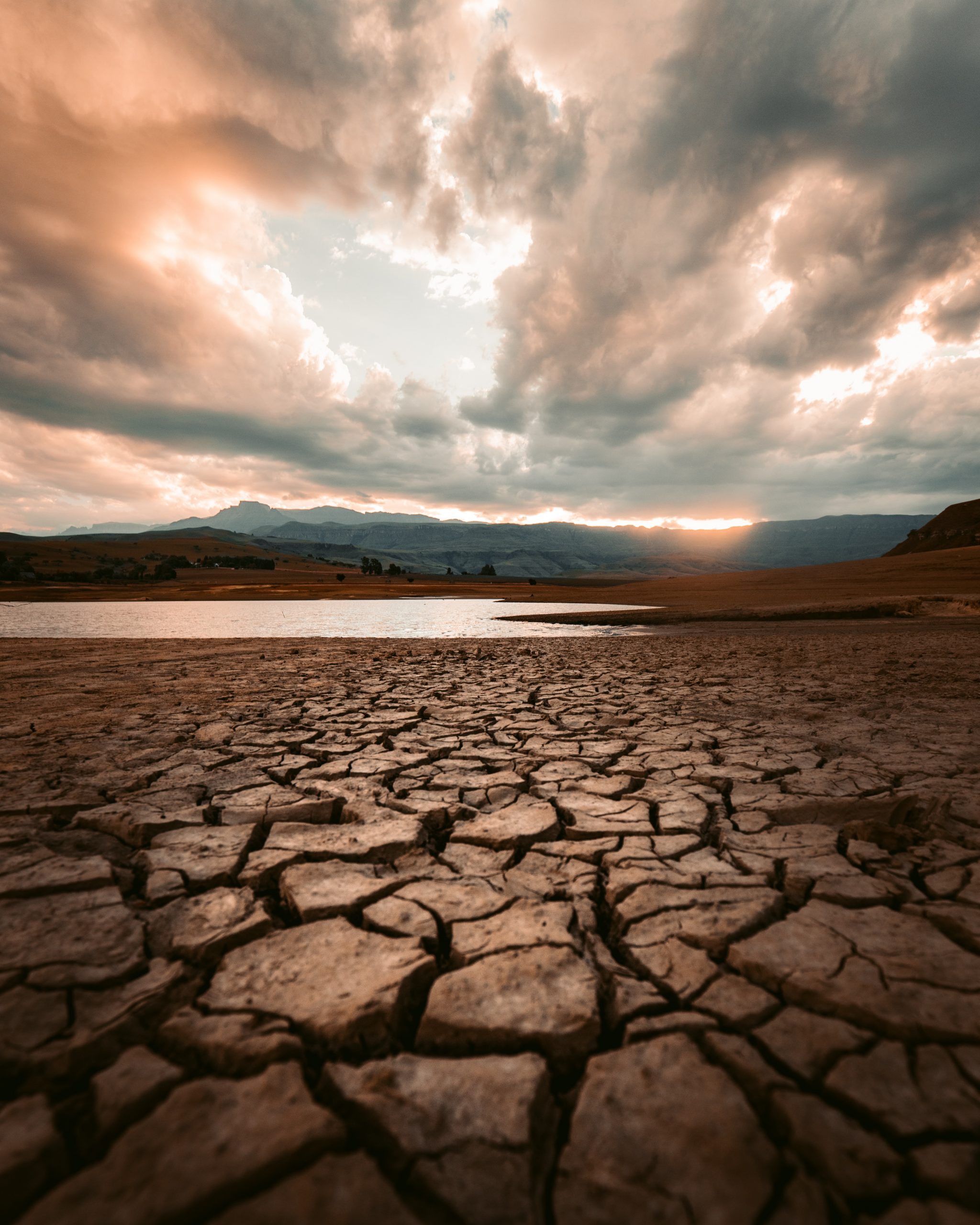 Ziua Mondială pentru Combaterea Deșertificării și a Secetei | Climatologul Roxana Bojariu: ”Trebuie să trecem la măsuri proactive, să încetinim această cursă infernală a schimbării climei!”
