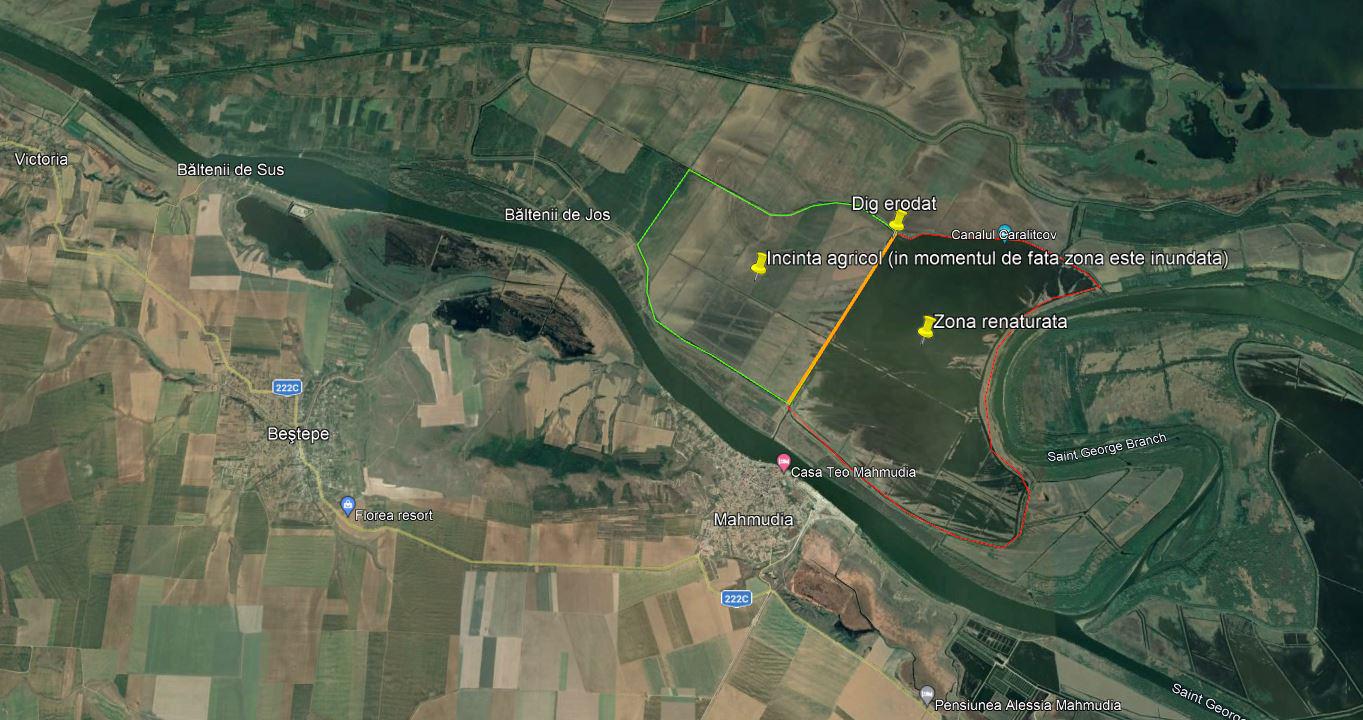 AUDIO| Populația și locuințele din Mahmudia nu sunt în pericol de a fi inundate. ISU Delta vine cu informații noi despre situația digului Carasuhat