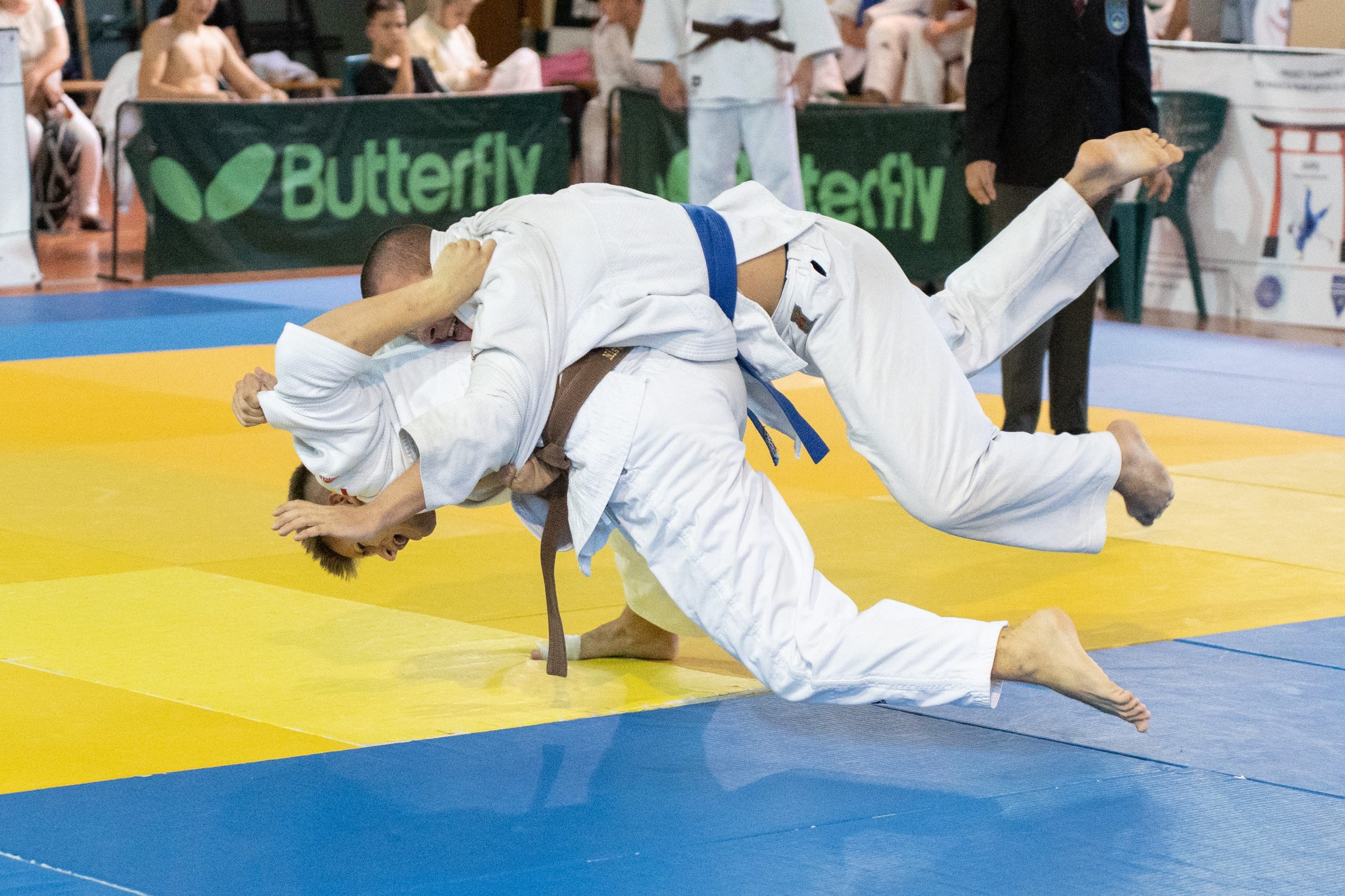 La Constanța sunt programate întrecerile Cupei „Pantheon“ la judo