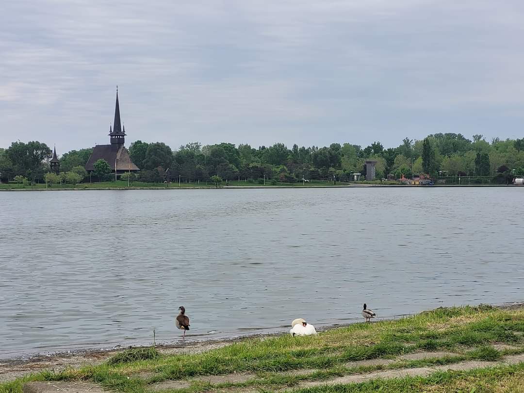 32 de grade – maxima zilei de duminică în Dobrogea