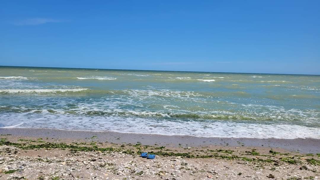 INSP: Monitorizarea calităţii apei se va efectua zilnic în punctele din judeţele Constanţa şi Tulcea