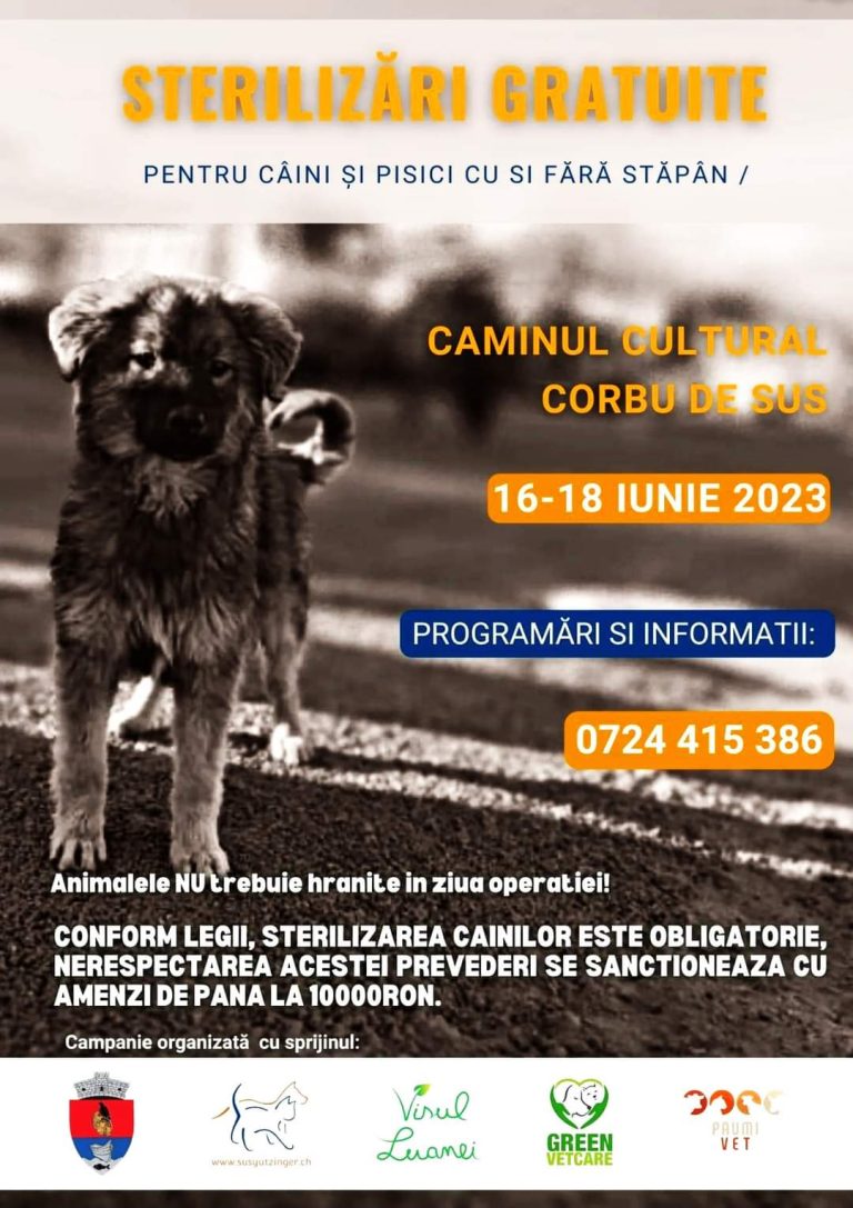 Campanie de sterilizare gratuită pentru câini și pisici, în comuna Corbu