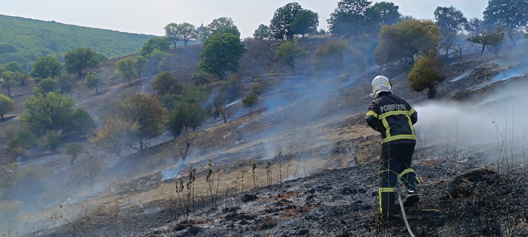 TULCEA: Incendiu de vegetaţie uscată, produs în apropiere de localitatea Ciucurova