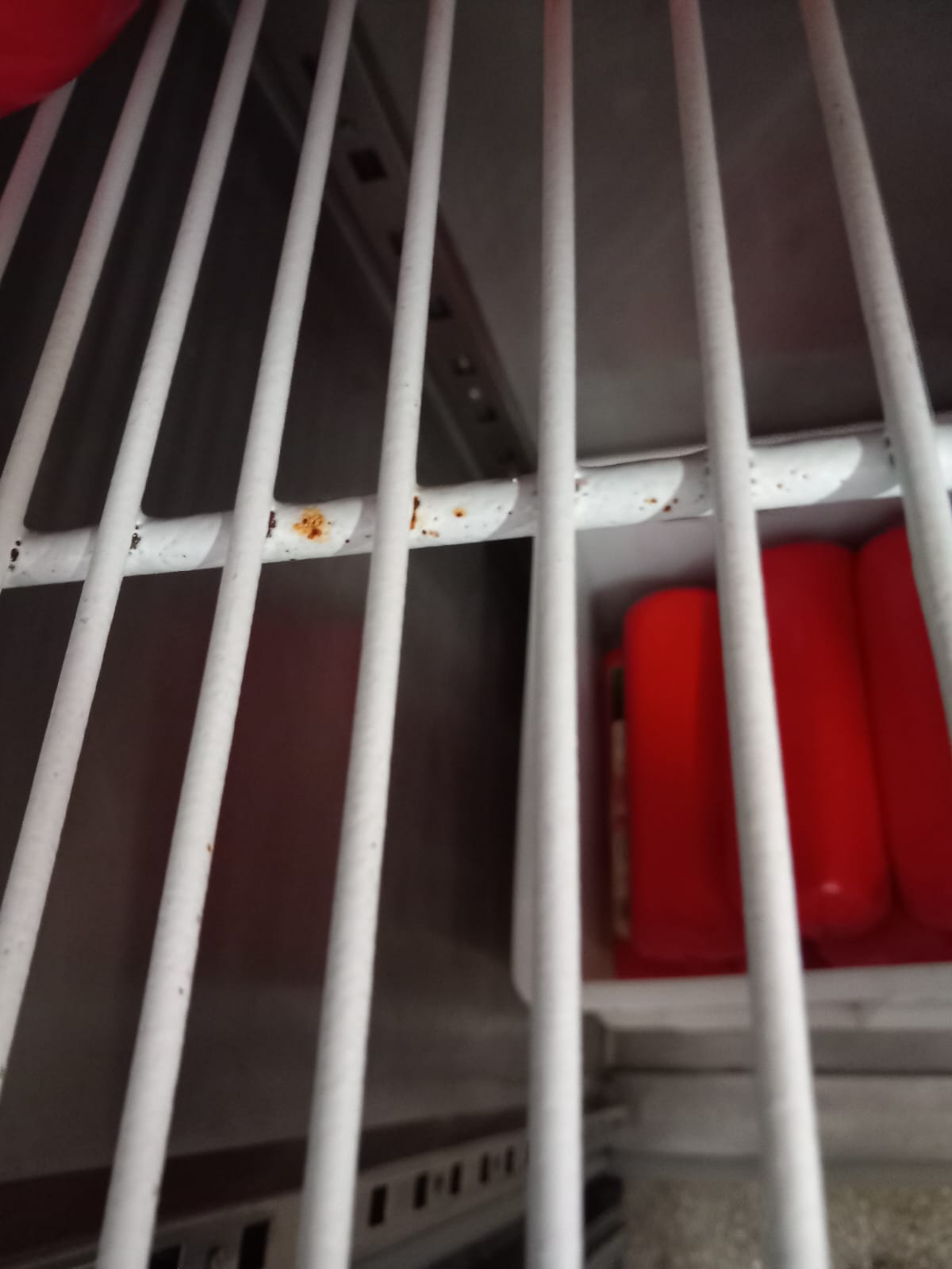 Unitatea care deserveşte, în regim de catering, spitalele din Constanţa, verificată de CJPC. Inspectorii au propus oprirea temporară a activităţii – FOTO