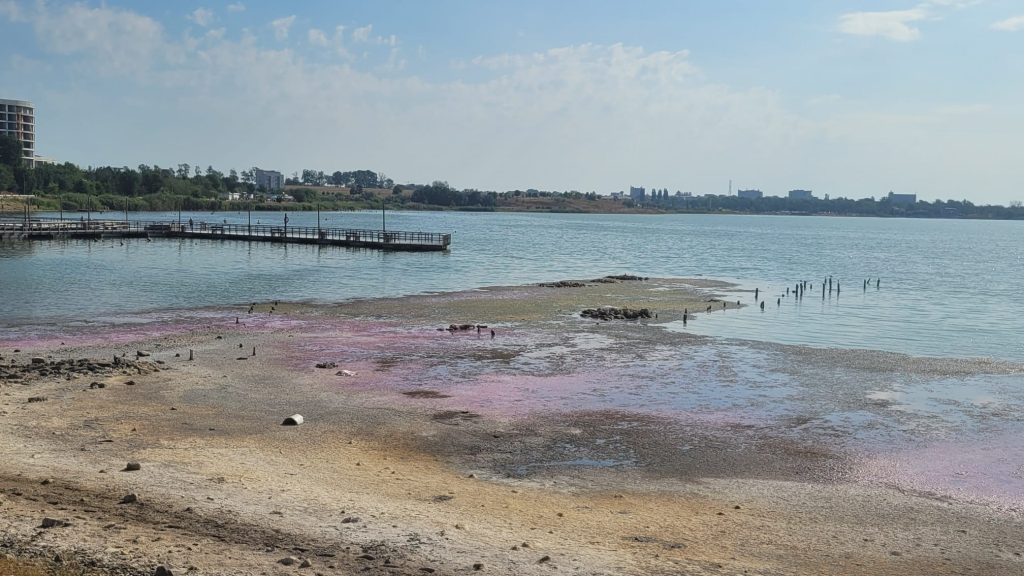 Lacul Techirghiol roz - foto - Cecilia Patrahau