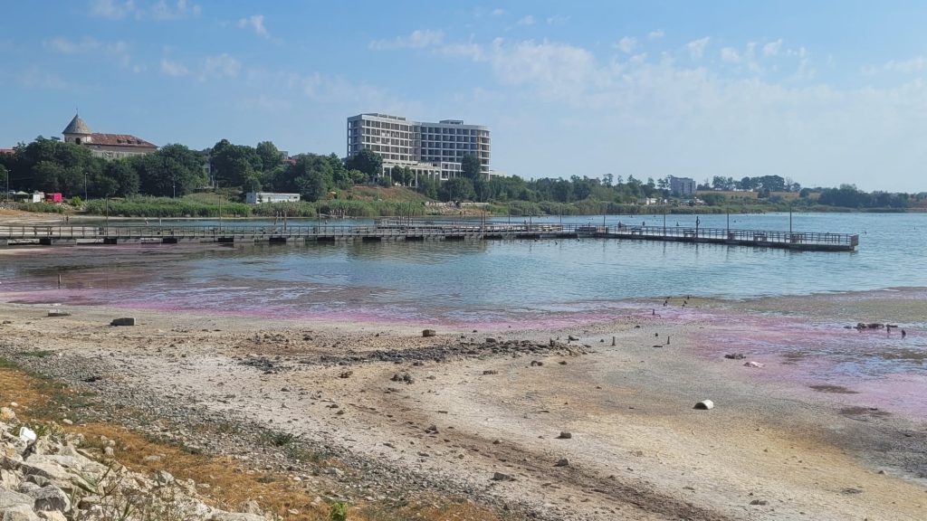 Lacul Techirghiol roz - foto - Cecilia Patrahau