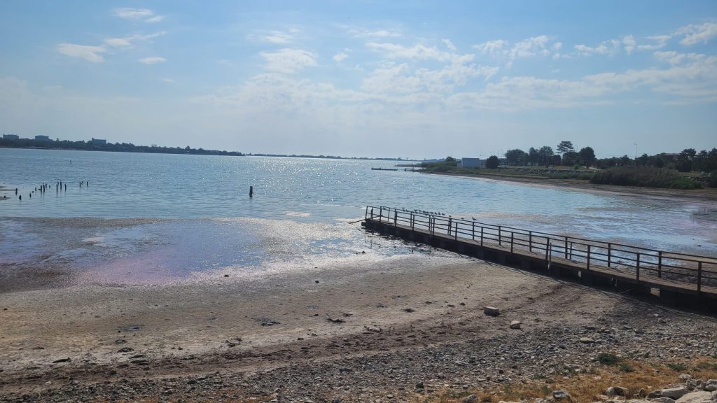 Lacul Techirghiol roz - foto - Cecilia Patrahau