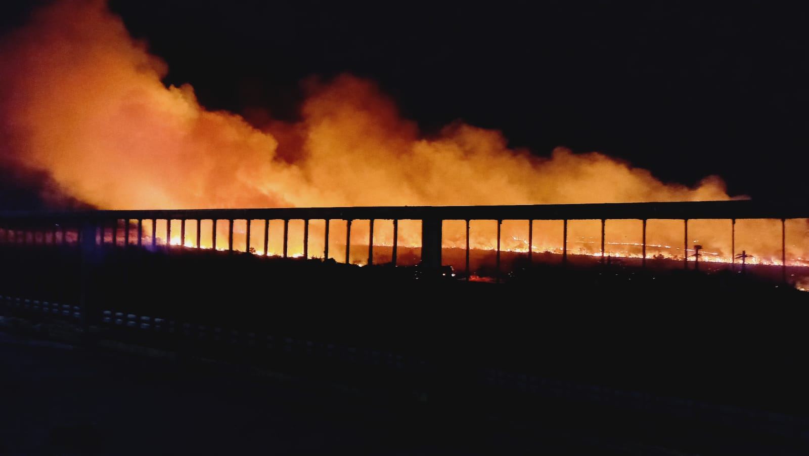 POARTA ALBĂ: 50 de hectare de vegetaţie uscată şi trei clădiri dezafectate au ars în urma unui incendiu
