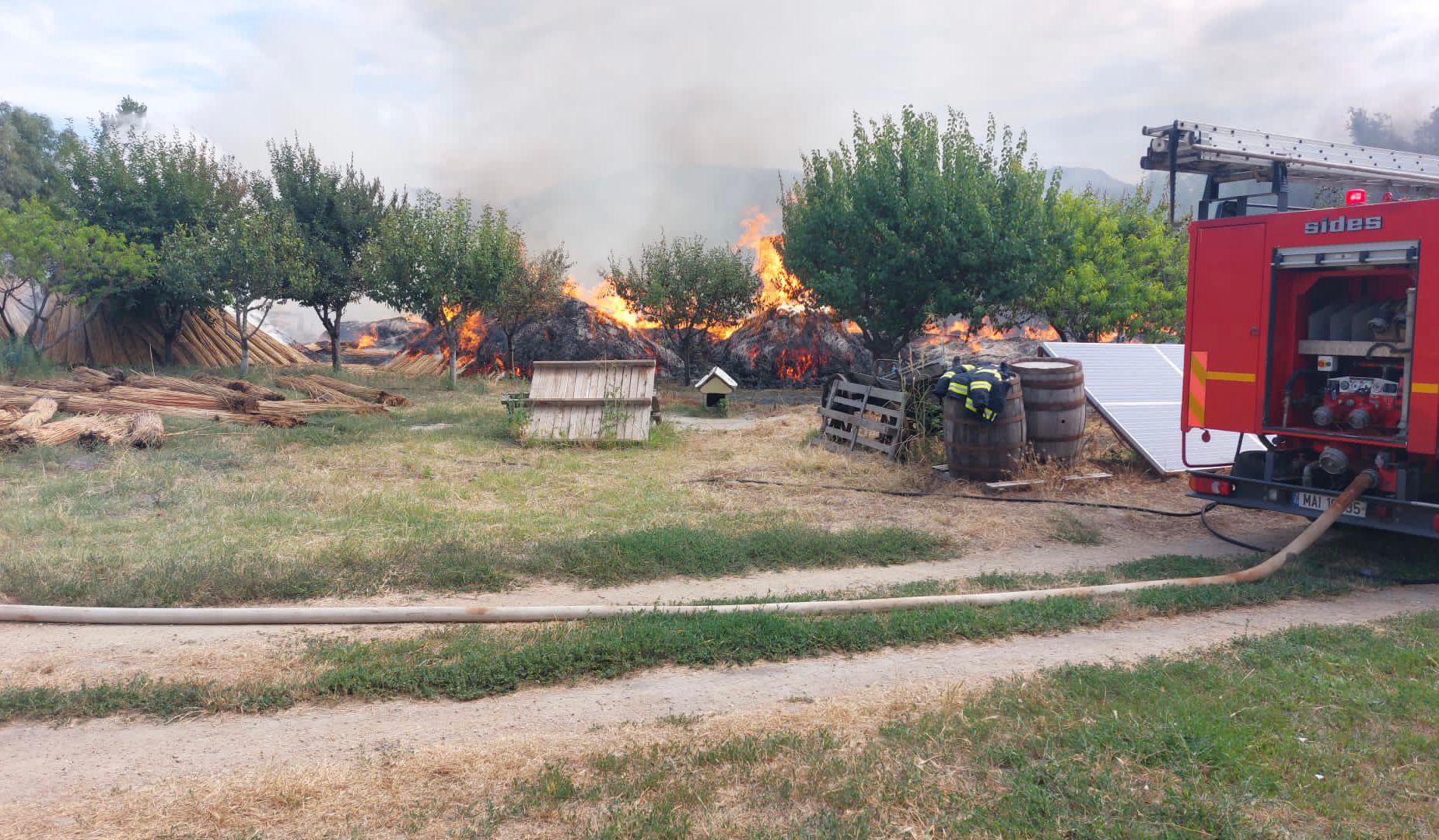 TULCEA/FOTO: Intervenție dificilă a pompierilor. Incendiu la o societate care exploata stuf