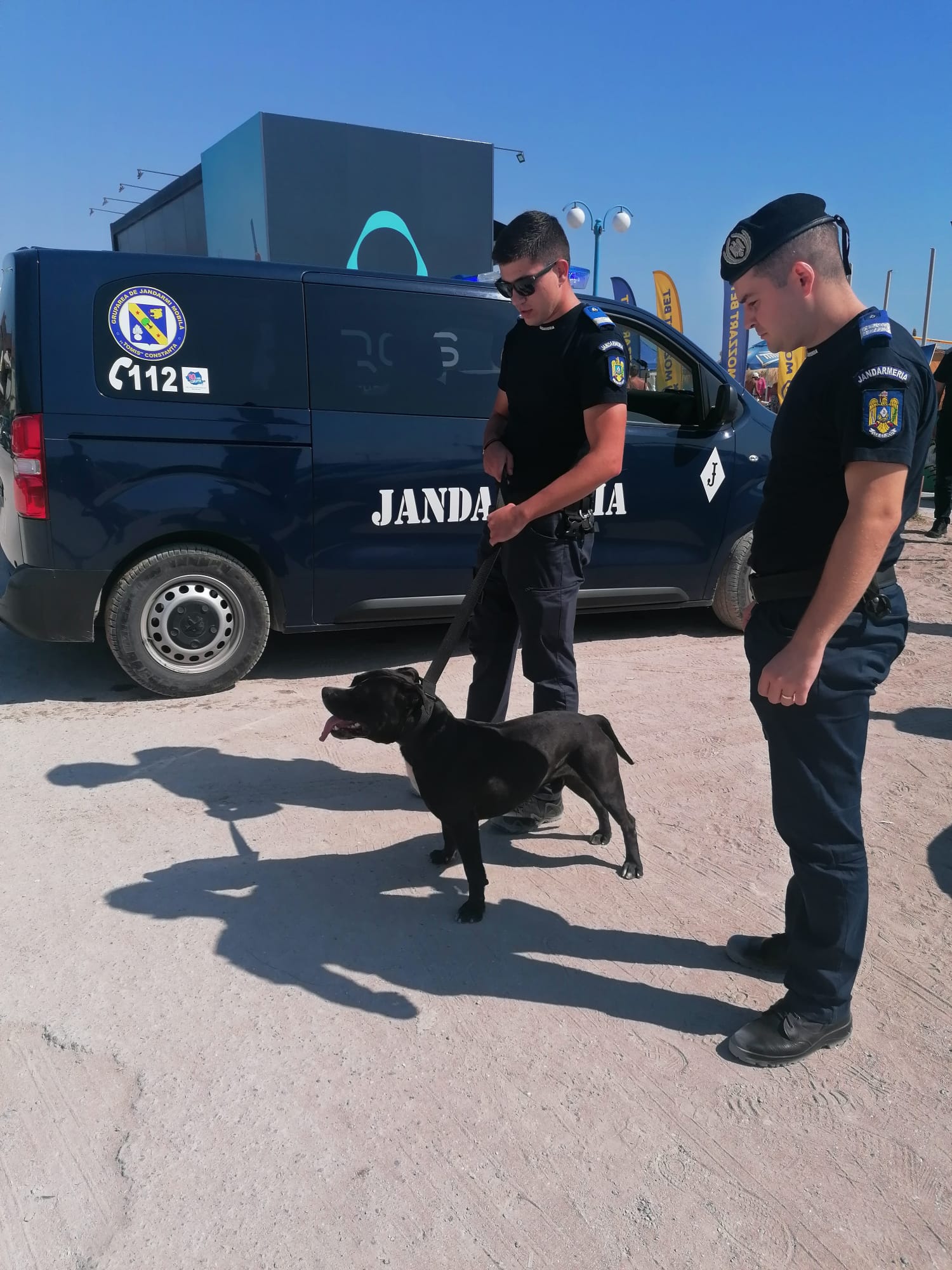 VAMA VECHE: Amstaff rătăcit pe plajă, prins de jandarmi