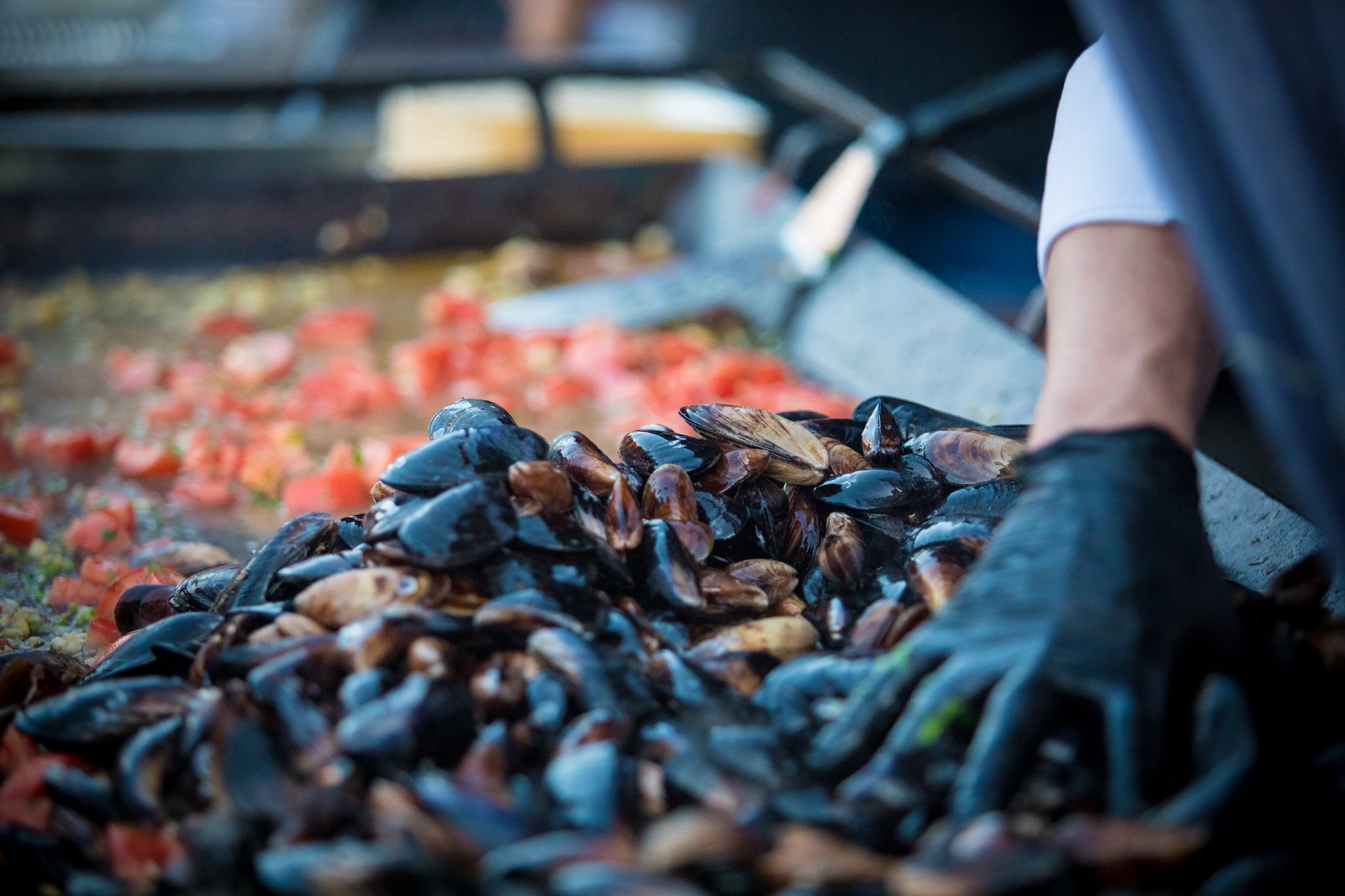 MAMAIA: Iubitorii fructelor de mare sunt invitați la ”Festivalul Scoicilor by Chef Cătălin Scărlătescu”