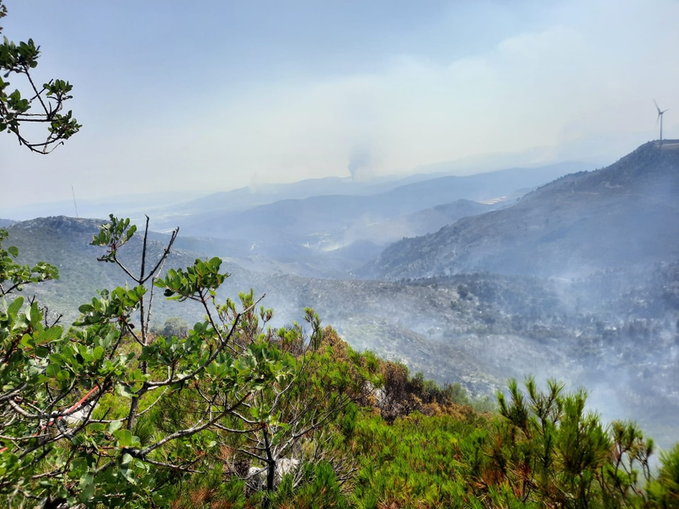 GRECIA: 30.000 de persoane de pe insula Rodos au fost evacuate, din cauza unui incendiu forestier devastator