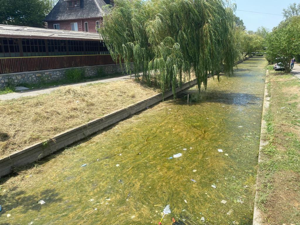 CONSTANȚA: Primăria explică de ce nu poate igieniza canalul din Satul de Vacanță