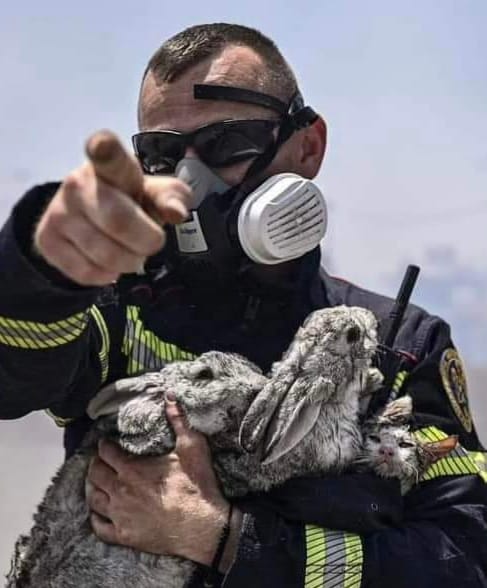 GRECIA: Numărul pompierilor români trimiși în insula Rodos, puternic afectată de incendii, a fost suplimentat