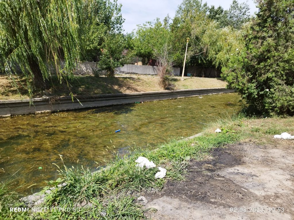 Canal Satul de Vacanta - foto - Radio Constanta